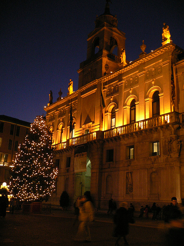 Mercatini Natale Padova.Shopping E Mercatino Di Natale A Padova Venerdi Si Accende L Albero Padova24ore