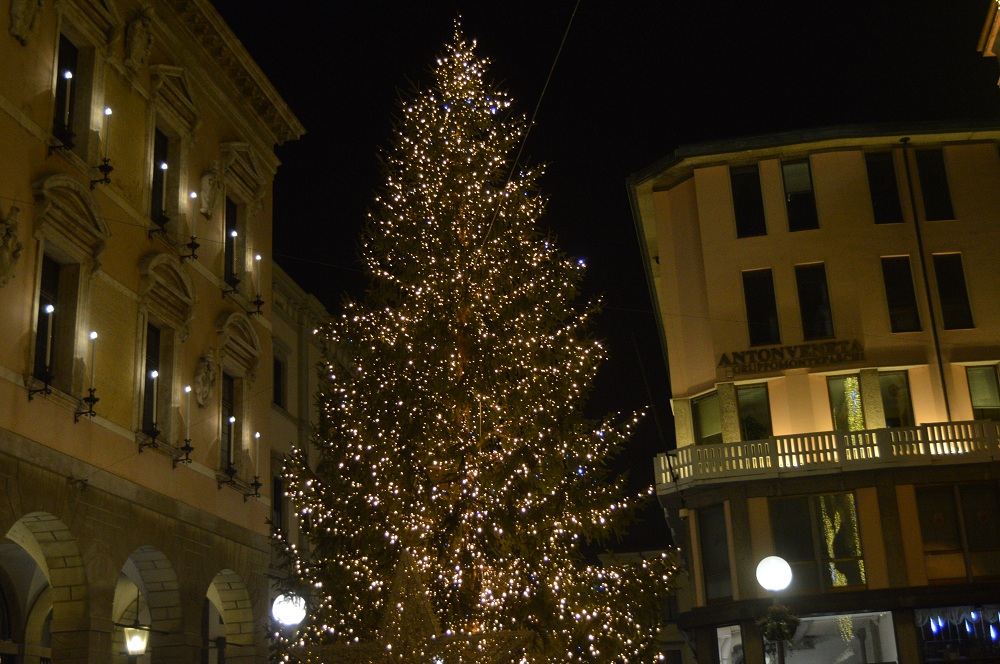 Albero Di Natale Sia.Dopo L Alluvione Confesercenti Lancia L Appello Sia Un Natale Di Solidarieta Riflettete Se Fare L Albero Padova24ore