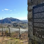 ZANZOTTO arqua petrarca BELLA