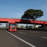 due pini marittimi a4
