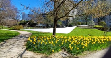 Giardino, che passione e che perfezione estetica: i trend di arredamento per la bella stagione 2026