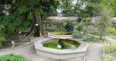 Orto Botanico Padova, giardino storico e fontana
