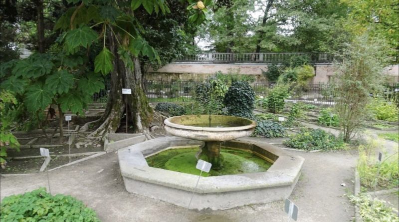 Orto Botanico Padova, giardino storico e fontana