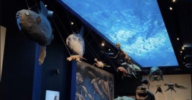 Visita serale al museo della Natura e dell’Uomo di Padova