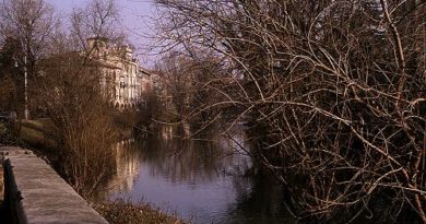 allerta gialla Padova