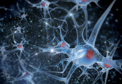Malattie neurodegenerative