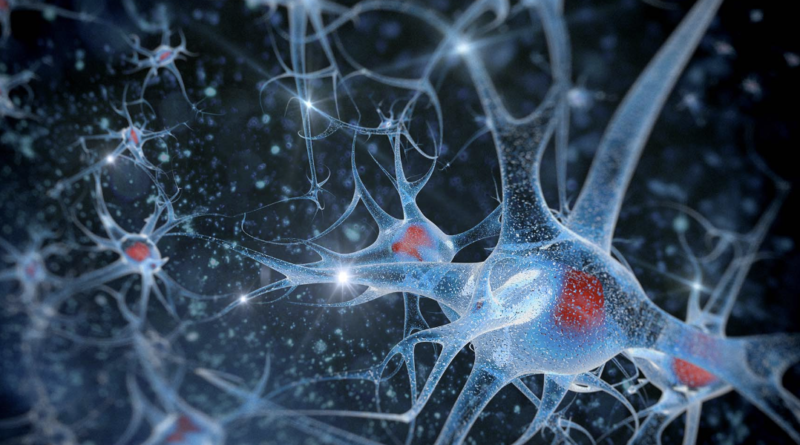 Malattie neurodegenerative