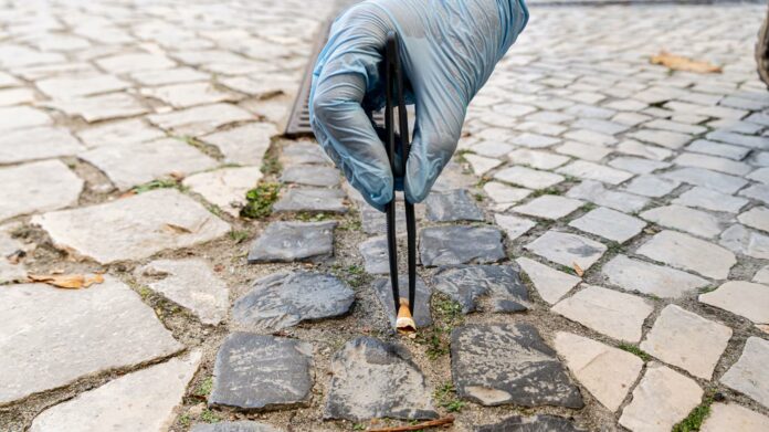 Caccia ai mozziconi, volontario raccoglie un mozzicone durante un'attività di pulizia ambientale.