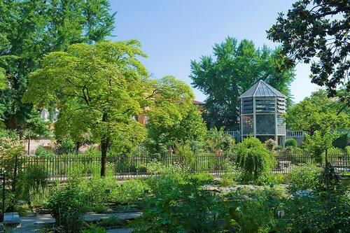 Verde urbano e vegetazione all'Orto botanico di Padova