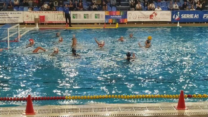 Plebiscito Padova contro Pallanuoto Trieste: un’azione in piscina nella gara del 17 ottobre 2026